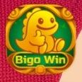BIGO WIN logo